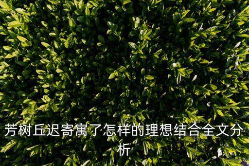 芳樹丘遲寄寓了怎樣的理想結合全文分析