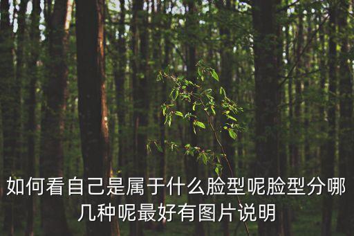如何看自己是屬于什么臉型呢臉型分哪幾種呢最好有圖片說明
