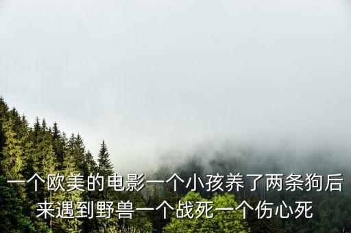 一個(gè)歐美的電影一個(gè)小孩養(yǎng)了兩條狗后來遇到野獸一個(gè)戰(zhàn)死一個(gè)傷心死