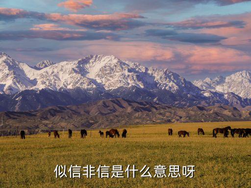 似信非信是什么意思呀
