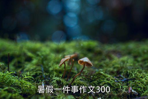暑假一件事作文300