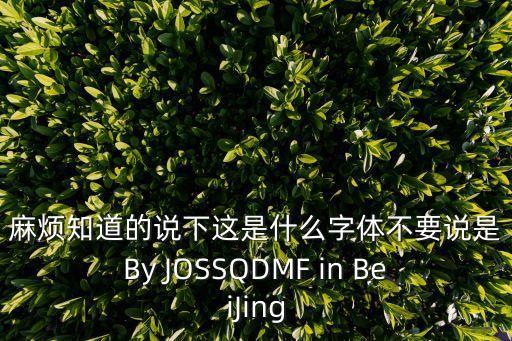 麻煩知道的說下這是什么字體不要說是By JOSSQDMF in BeiJing