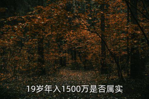 羅敬宇，19歲年入1500萬是否屬實