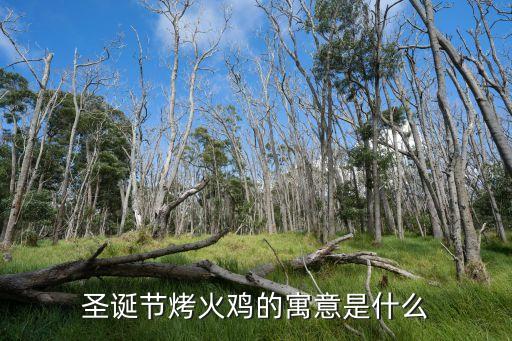 圣誕火雞，圣誕節(jié)烤火雞的寓意是什么
