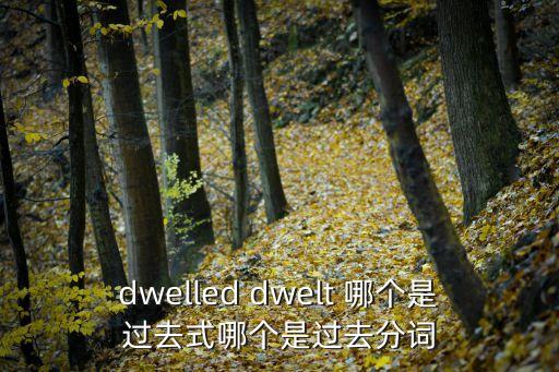 dwelled dwelt 哪個是過去式哪個是過去分詞