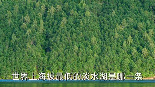 海拔最低的湖，世界上海拔最低的淡水湖是哪一條