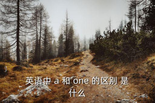 a英語(yǔ)，在英語(yǔ)中an和a是干什么的
