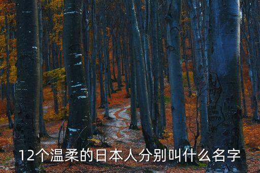 12個溫柔的日本人分別叫什么名字