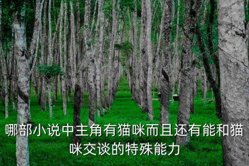 黑貓王子，貓的報恩里的黑貓王子是什么品種的