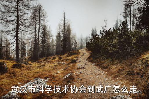 武漢市科協，武漢市科學技術協會到武廣怎么走
