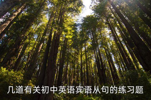 賓語從句專項練習，幾道有關初中英語賓語從句的練習題