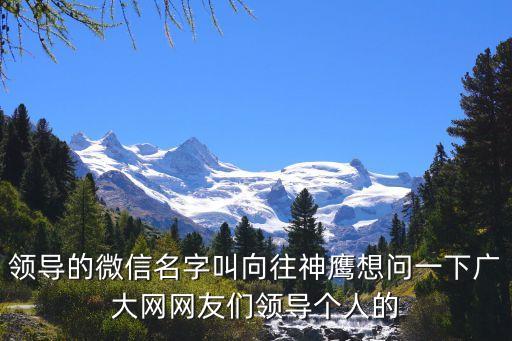 領(lǐng)導(dǎo)的微信名字叫向往神鷹想問(wèn)一下廣大網(wǎng)網(wǎng)友們領(lǐng)導(dǎo)個(gè)人的