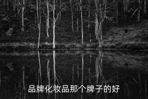 化妝品哪個牌子好，品牌化妝品那個牌子的好