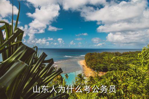 山東人為什么考公務員