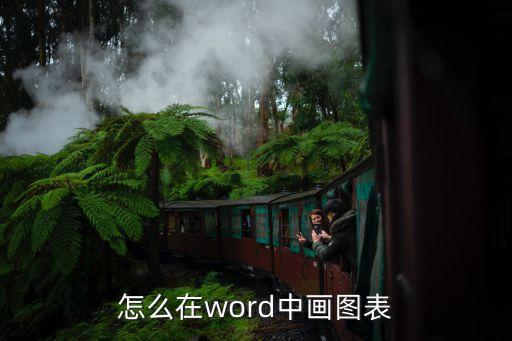 word圖表，怎么在word中畫圖表