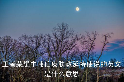 王者榮耀中韓信皮膚教延特使說的英文是什么意思