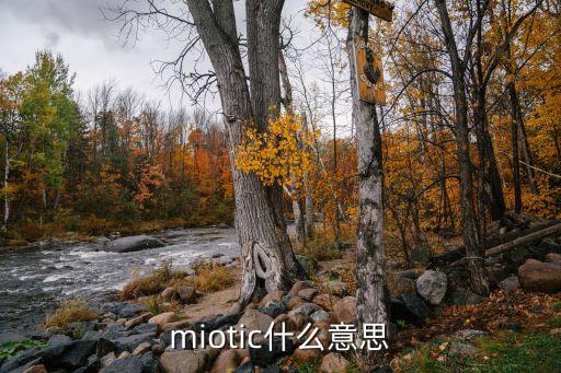 迷路英文，迷路的這個單詞用英文怎么讀