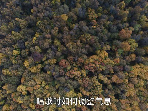 唱歌氣息，唱歌時如何把握好氣息