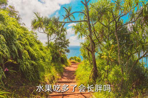 水果吃多了會胖嗎，水果吃撐了會胖嗎