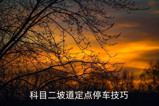 科目二坡道定點停車技巧