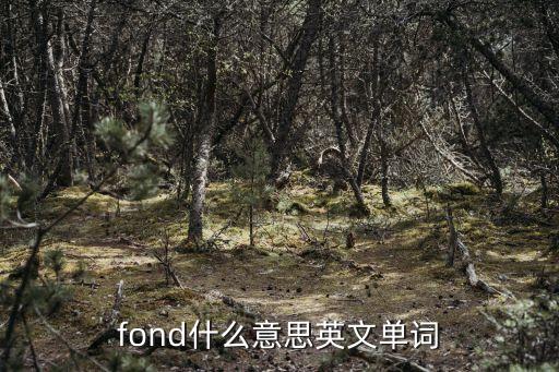 fond，fond什么意思英文單詞