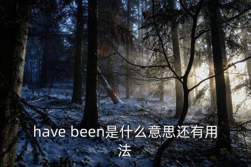 have been是什么意思還有用法
